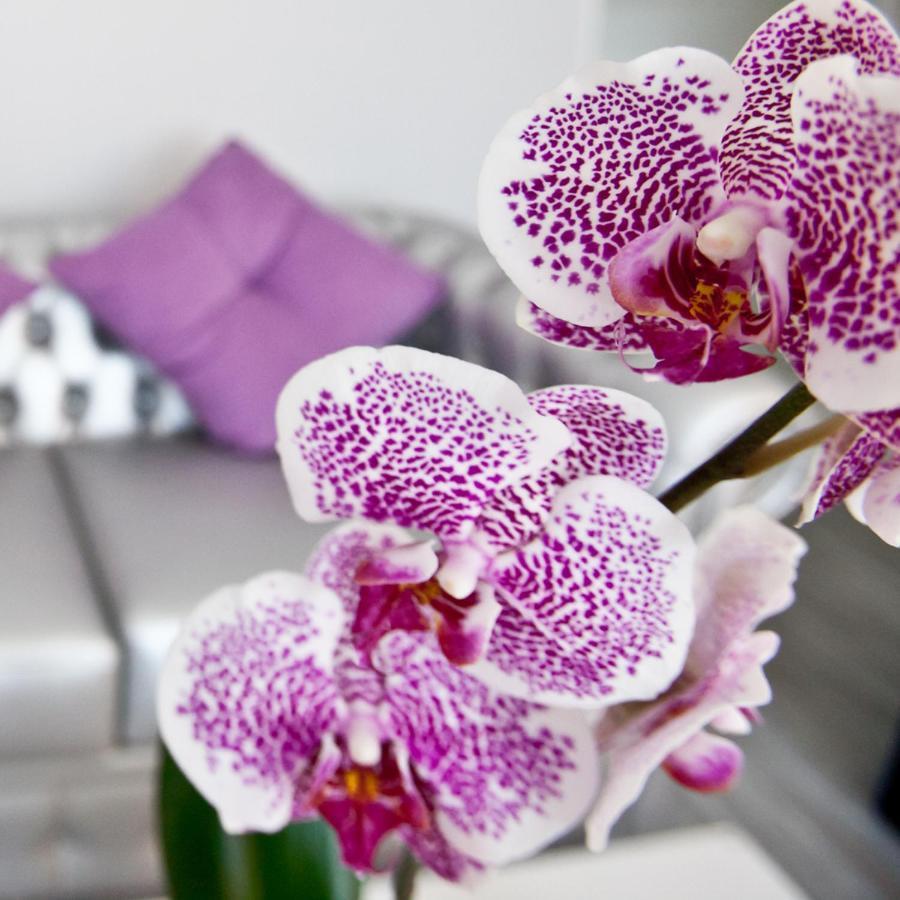 Alix Boutique Hotell Arteixo Eksteriør bilde